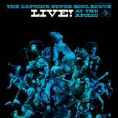 The Sticks (Live at the Apollo) artwork