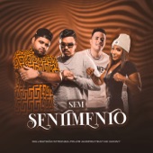 Sem Sentimento (feat. Mc Danny) artwork
