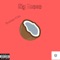 Cocotero 4 Life - Big Moses lyrics