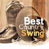 Wild Country Instrumentals - Best Country Swing
