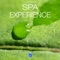 Music for Spa - Pure Relaxing Spa Music lyrics