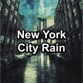 New York City Rain artwork