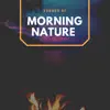 Stream & download Sounds of Morning Nature - Single