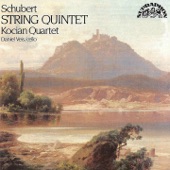 Quintet in C Major, Op. 163, D. 956: Adagio artwork