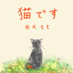 猫です