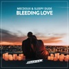 Bleeding Love - Single