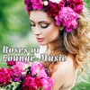 Roses of Lounge Music, 2016