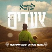 צעדים (Moshiko Stern Official Remix) artwork