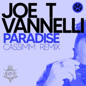 Paradise (CASSIMM Radio Edit Remix) artwork