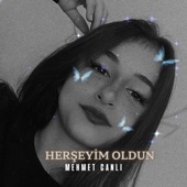 Herşeyim Oldun (feat. Güllü) artwork