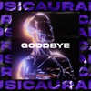 Goodbye - Single