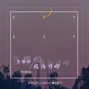 KeyKey - Dang Xiang Ni Cheng Wei Xi Guan (当想你成为习惯) (DJR7抖音版) - Line Dance Musique