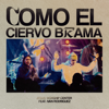 Como el Ciervo Brama (feat. Ivan Rodriguez) [Live] - Jesus Worship Center