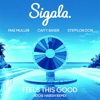 Feels This Good (feat. Stefflon Don) [Jodie Harsh Remix] - Single