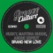 Brand New Love (Husky's Extended Club Mix) artwork