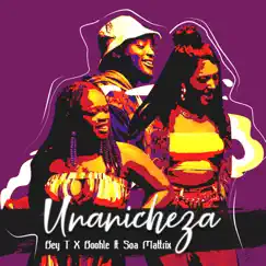 Unanicheza (feat. Soa Mattrix) - Single by Bey T & Boohle album reviews, ratings, credits