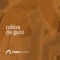 Rabos de Galo (feat. André Teixeira) - Fabio Soares lyrics