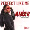 Perfect Like Me (Amber Rodriguez Theme) - Single album lyrics, reviews, download