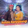 Rondo Banyuwangi (feat. Lek Doel) - Single