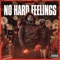 NHF (No Hard Feelings) artwork