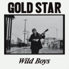 Wild Boys - Single