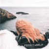 Perfect World - Single