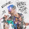 Antes Que Me Muera (En Vivo)