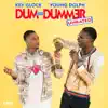 Stream & download Dum and Dummer