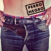 Perro Negro - Single