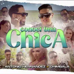 Conocí a una Chica - Single by Antonio Hernandez & Chimbala album reviews, ratings, credits