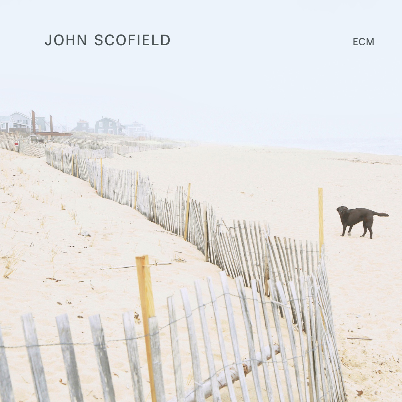 John Scofield by John Scofield