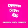 Never Give Up - EP album lyrics, reviews, download