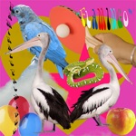 Flamingo - Single