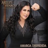 Amarga Despedida - Single, 2024