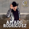 Amado Rodriguez - Single
