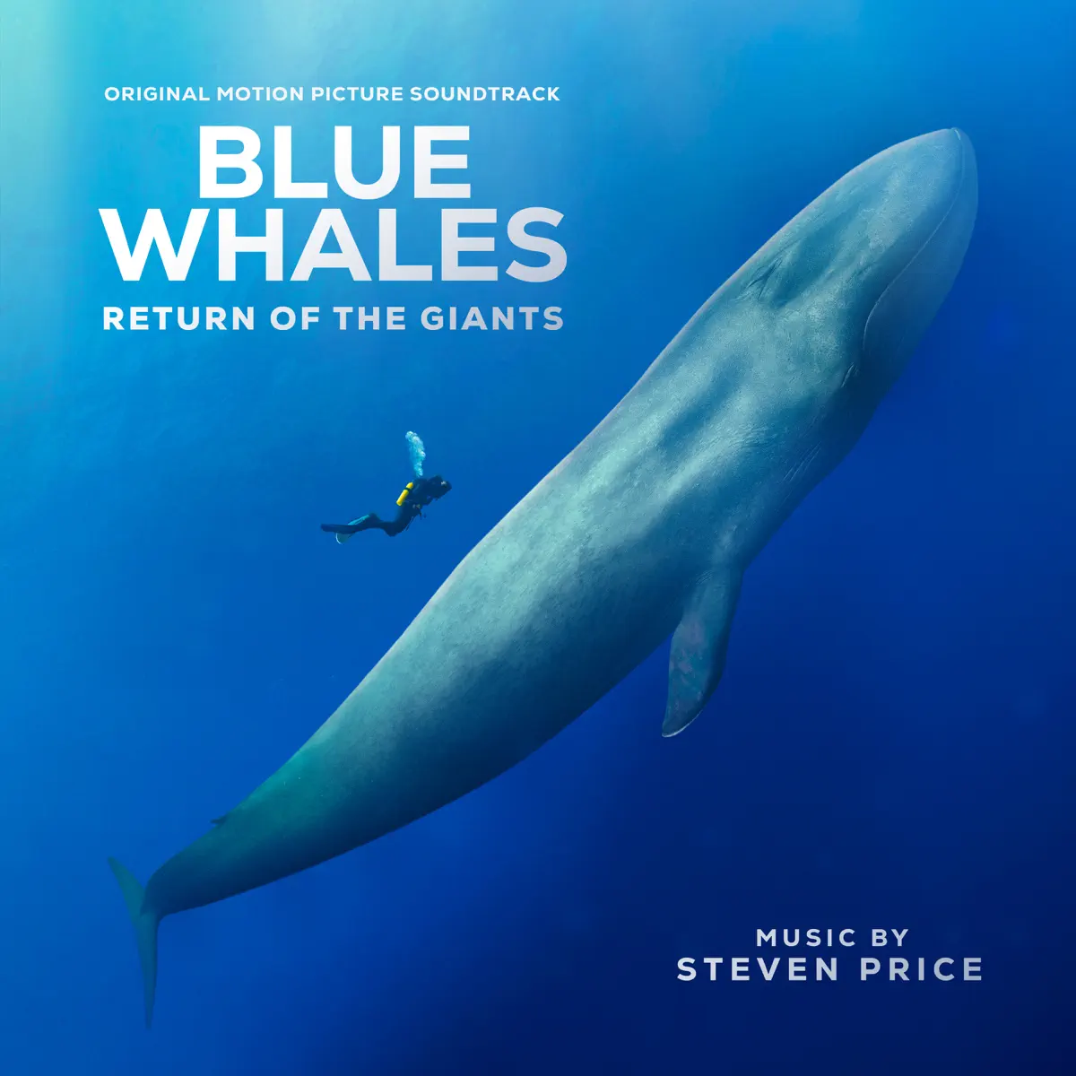 Steven Price - 蓝鲸: 巨人归来 Blue Whales: Return of the Giants (Original Motion Picture Soundtrack) (2023) [iTunes Plus AAC M4A]-新房子