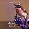 Réveil du matin: Sonneries de la nature (Oiseaux et eau apaisante)