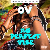 No Perfect Vibe artwork