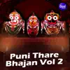 Puni Thare Bhajan Vol 2 - Single album lyrics, reviews, download