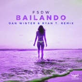 Bailando (Dan Winter & Ryan T. Extended Remix) artwork