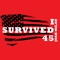 I Survived 45 (Honeycomb Vocal Radio Edit) artwork