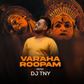 Varaha Roopam - DJ TNY