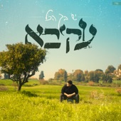 יש בך הכל artwork