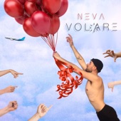 Volare artwork