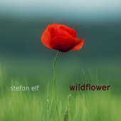 Wildflower - stefan elf