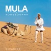 Nivakine (feat. Youssoupha) - Single