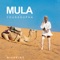 Nivakine (feat. Youssoupha) - Mula lyrics