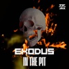 In the Pit - Single