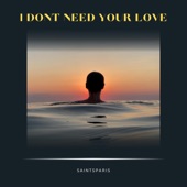 I Don't Need Your Love (Radio Edit) artwork