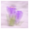 Time For Spring - Single